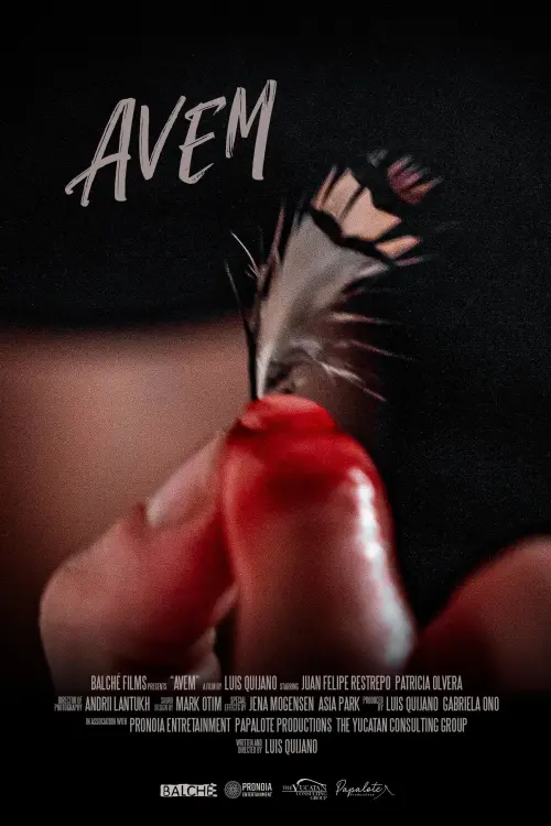 Постер до фільму "Avem"