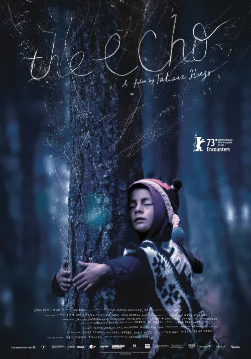 Постер до фільму "The Echo"