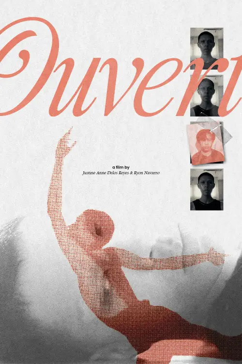 Постер до фільму "Ouvert"