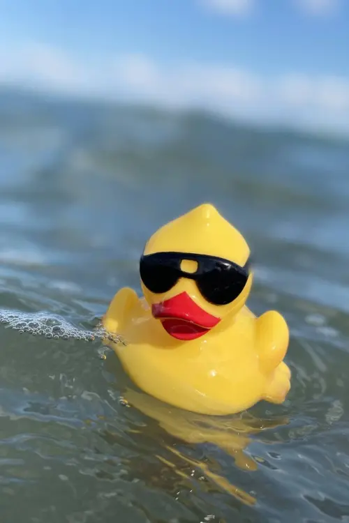 Постер до фільму "Downstream"