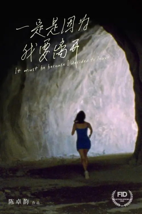 Постер до фільму "It Must Be Because I Decided to Leave"