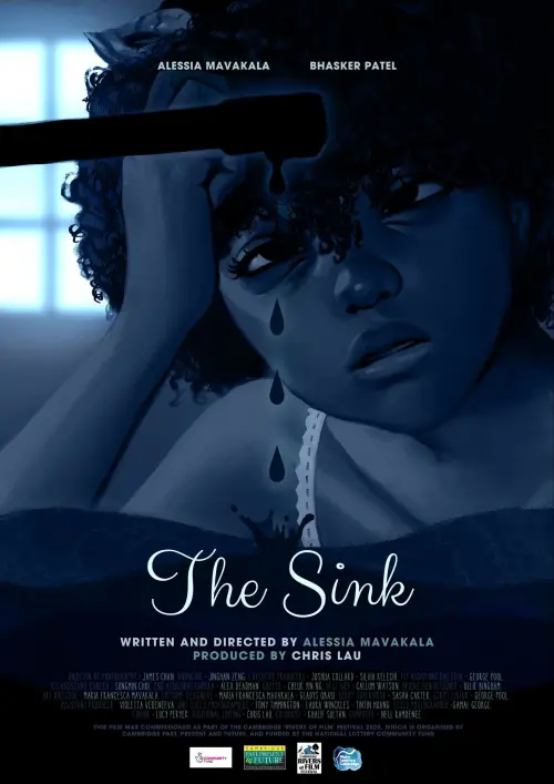 Постер до фільму "The Sink"