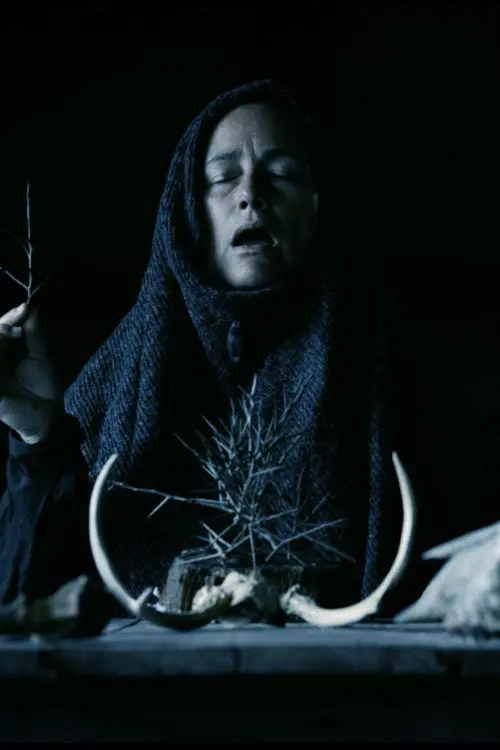 Постер до фільму "Mother of Flies"