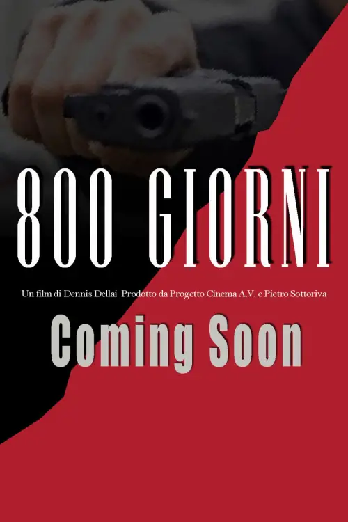 Постер до фільму "800 giorni"