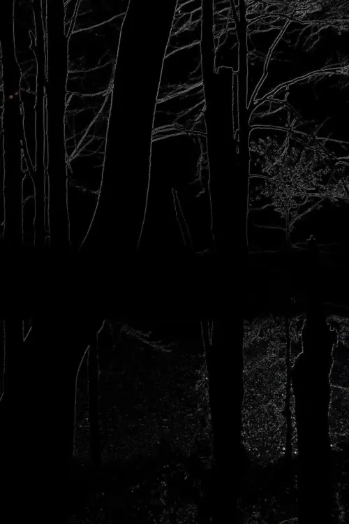 Постер до фільму "The Heart of the Wood"