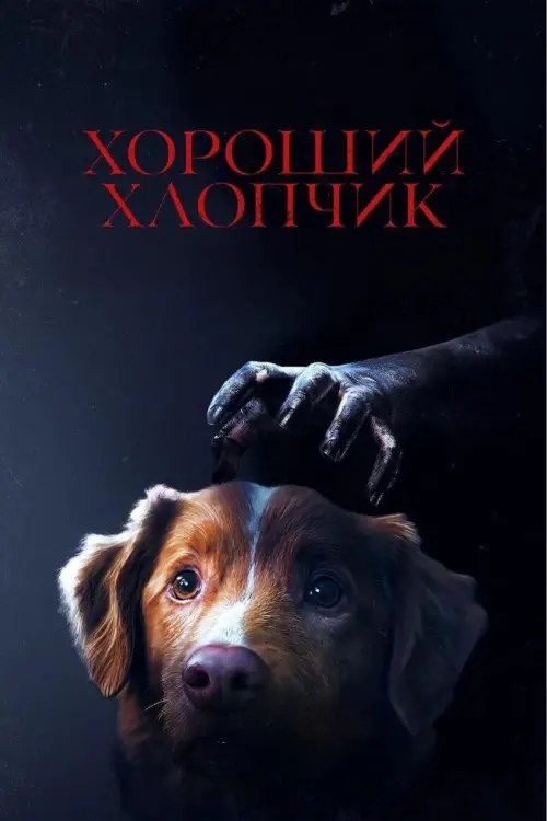 Постер до фільму "Good Boy"