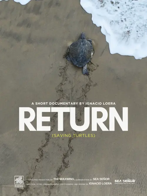 Постер до фільму "Return: Saving Turtles"