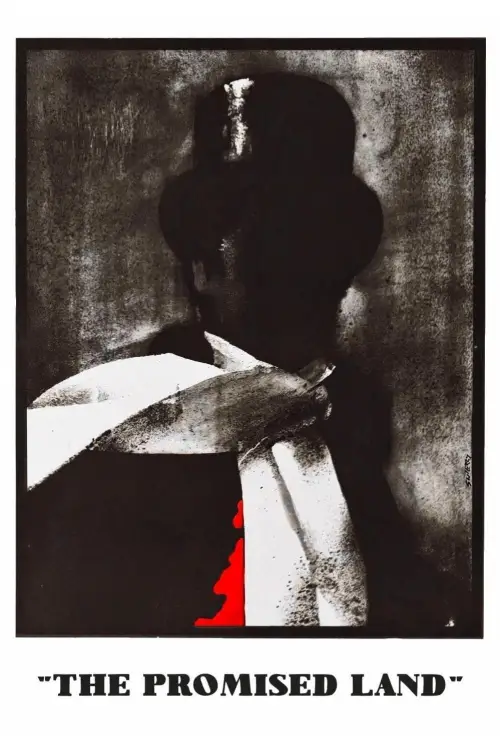 Постер до фільму "Земля обітована"