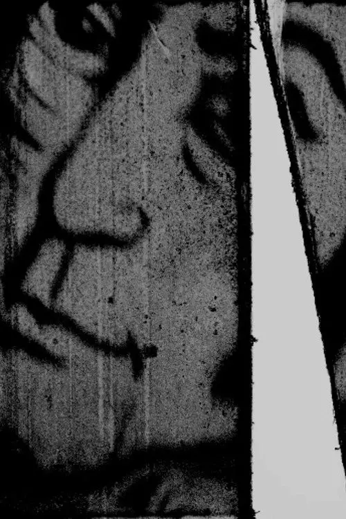 Постер до фільму "Two hundred and eighty billion images"