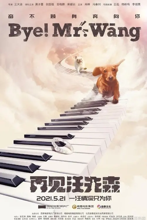 Постер до фільму "Bye, Mr Wang!"