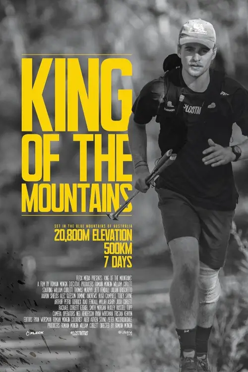 Постер до фільму "King of the Mountains"