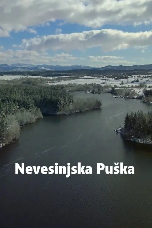Постер до фільму "The Herzegovina Uprising"