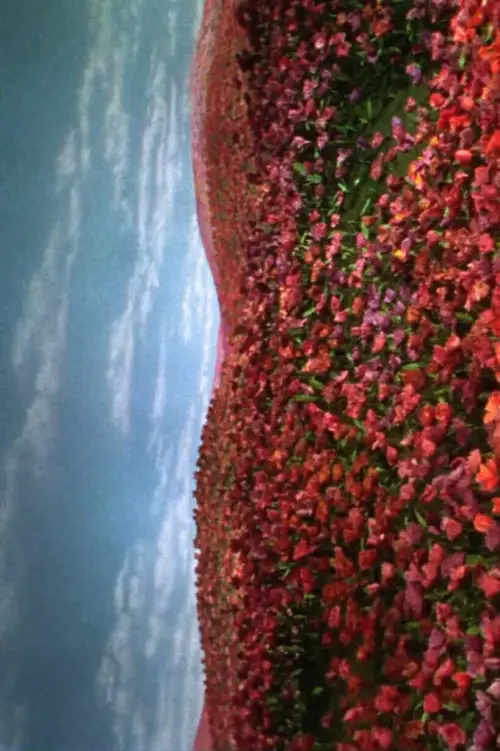 Постер до фільму "Insomnio doméstico"