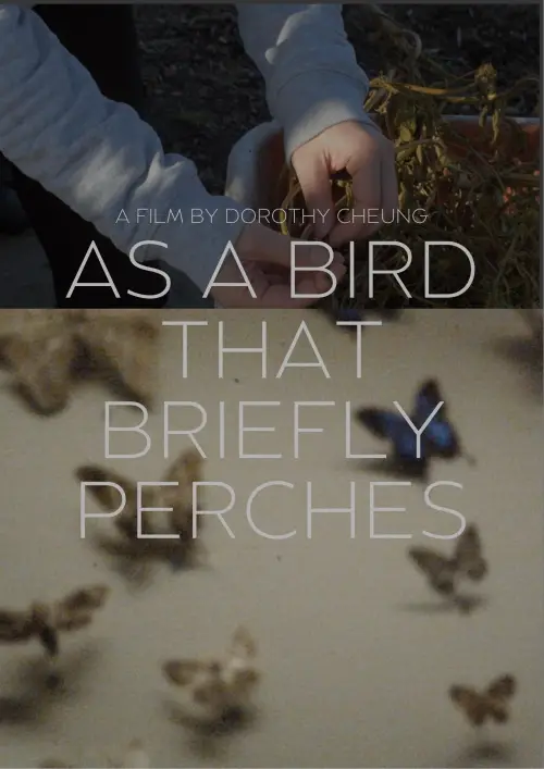 Постер до фільму "As A Bird That Briefly Perches"