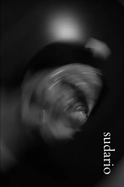 Постер до фільму "Sudario"