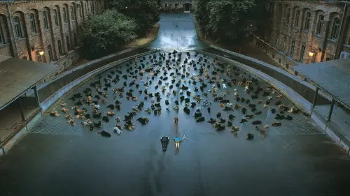 Відео до фільму Білий бог | White God - Official Trailer