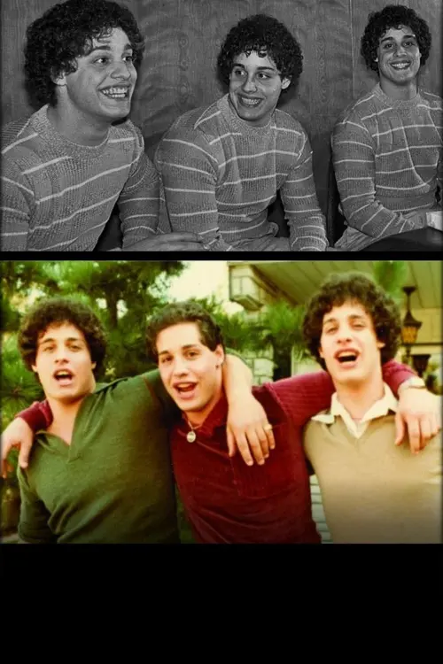 Постер до фільму "Three Identical Strangers"