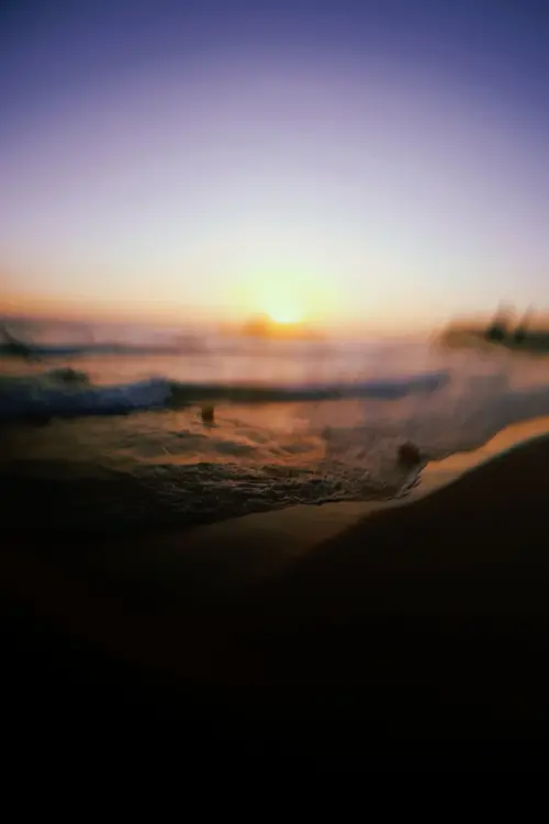 Постер до фільму "Upcoming Wave"