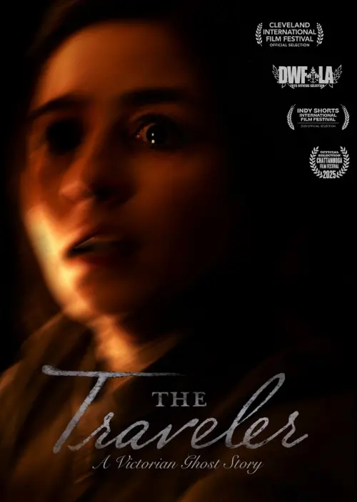 Постер до фільму "The Traveler"
