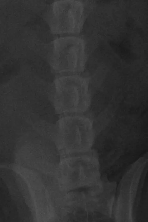 Постер до фільму "ÚLTIMAMENTE."