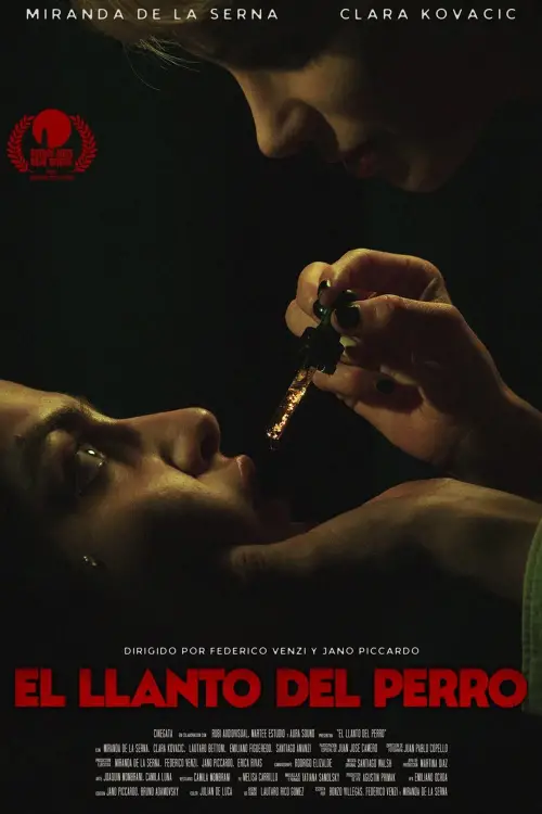 Постер до фільму "El llanto del perro"