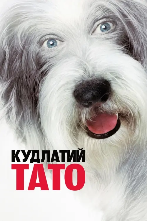 Постер до фільму "Кудлатий пес"