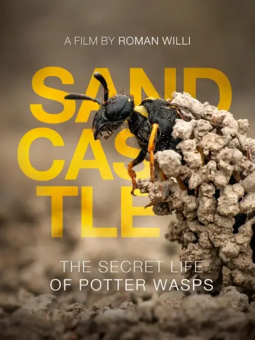 Постер до фільму "Sandcastle - The Secret Life Of Potter Wasps"