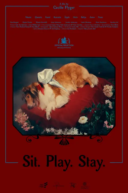 Постер до фільму "Sit. Play. Stay."