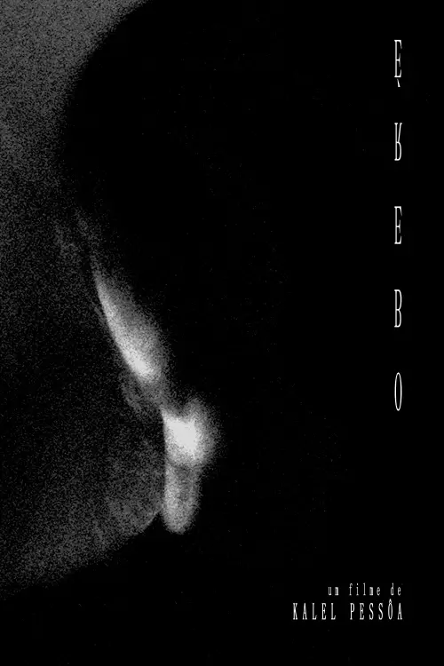 Постер до фільму "Erebus"