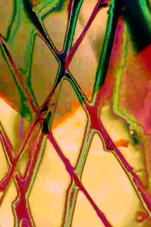 Постер до фільму "Anger Management"