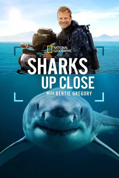 Постер до фільму "Sharks Up Close with Bertie Gregory"