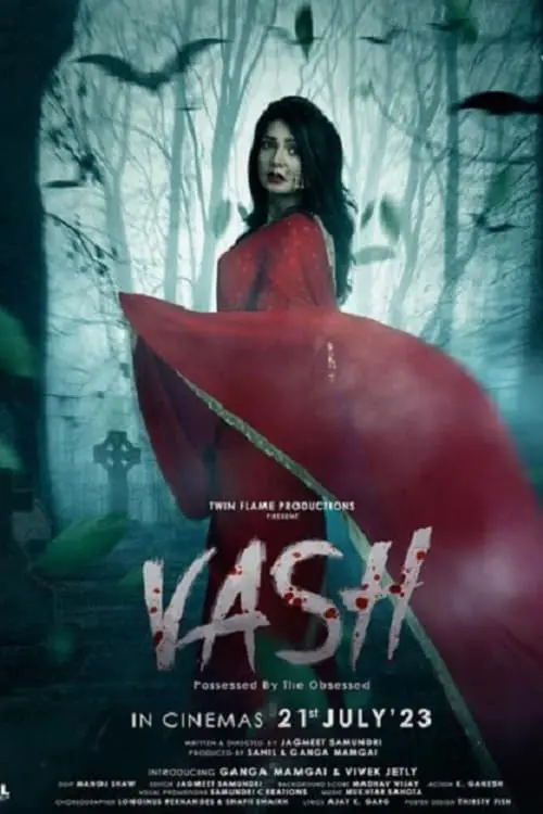 Постер до фільму "Vash"