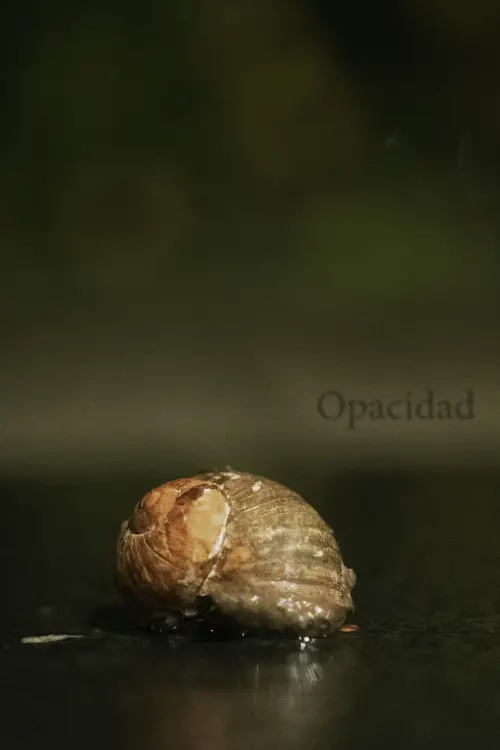 Постер до фільму "Opacity"