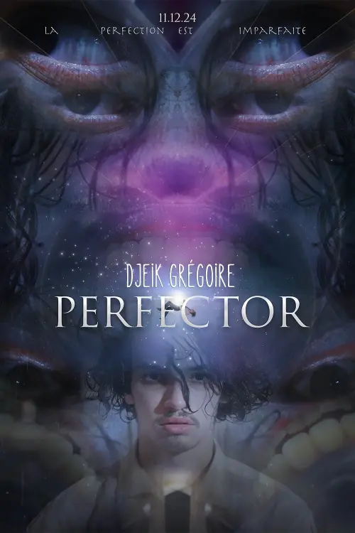 Постер до фільму "Perfector"