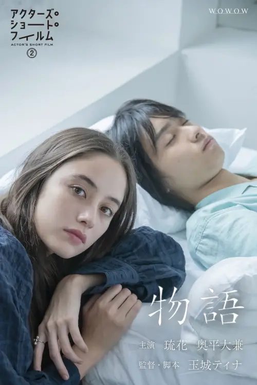 Постер до фільму "Story"