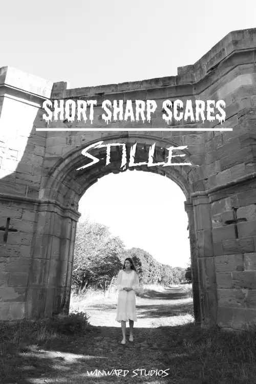 Постер до фільму "Short Sharp Scares: Stille"