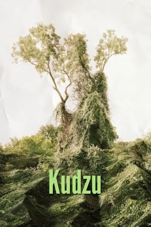 Постер до фільму "Kudzu"