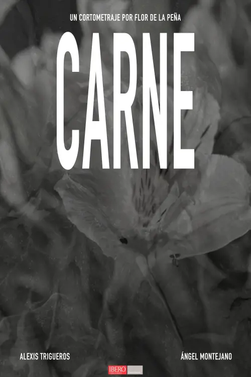 Постер до фільму "CARNE"