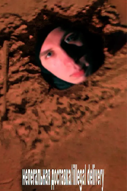 Постер до фільму "нелегальная доставка//illegal delivery"