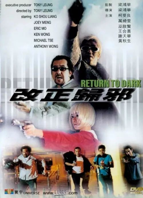 Постер до фільму "Return to Dark"