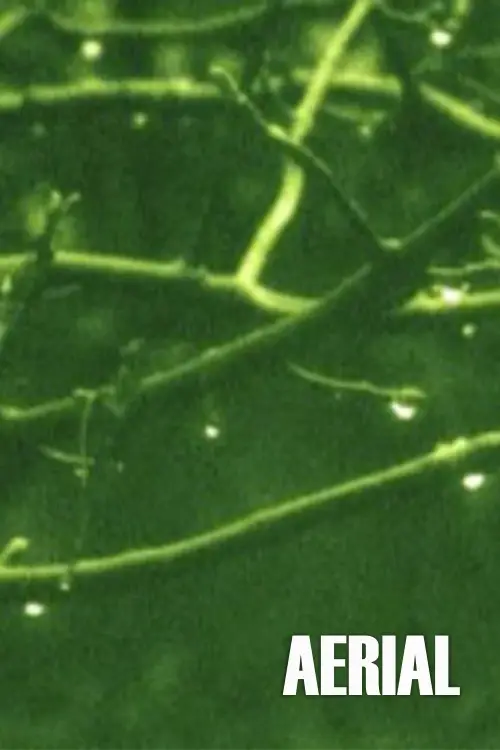 Постер до фільму "Aerial"