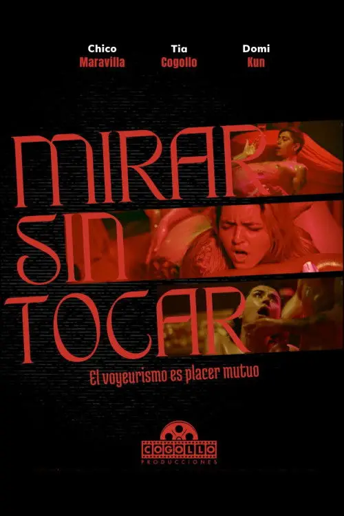 Постер до фільму "Mirar sin tocar"