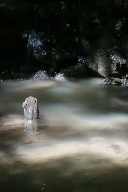 Постер до фільму "The Aqueduct of Seyssuel"