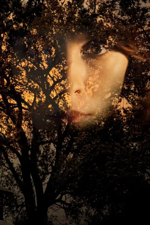 Постер до фільму "O Segredo de Sara"