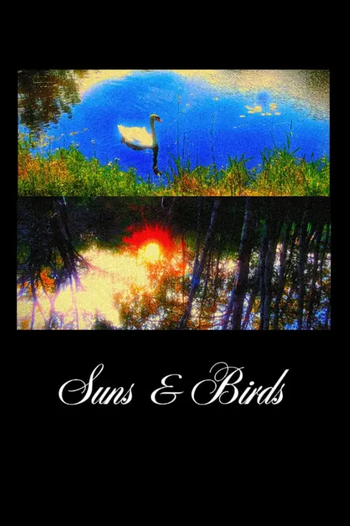 Постер до фільму "Suns & Birds"