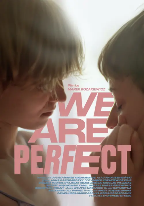 Постер до фільму "We Are Perfect"