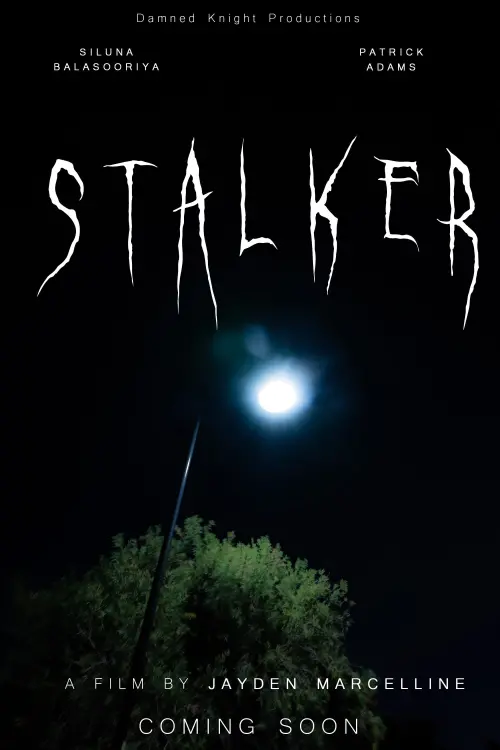 Постер до фільму "STALKER"