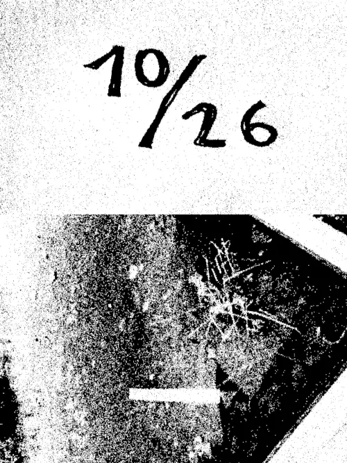 Постер до фільму "10/26"