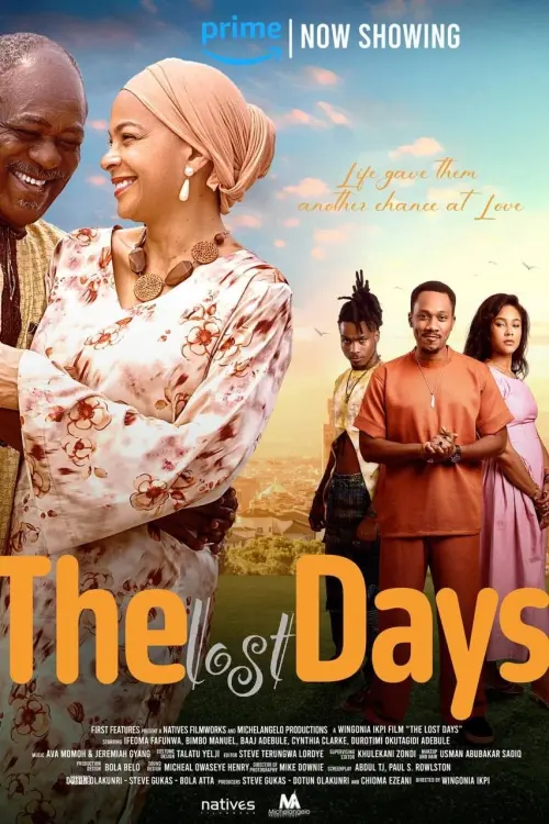 Постер до фільму "The Lost Days"