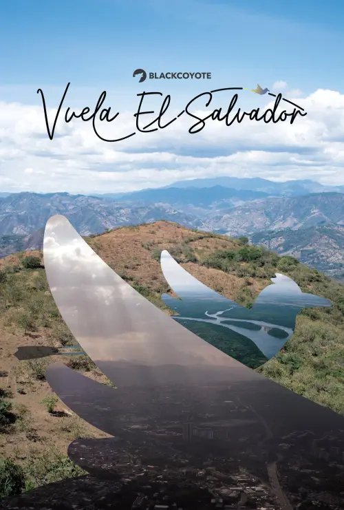 Постер до фільму "Vuela El Salvador"